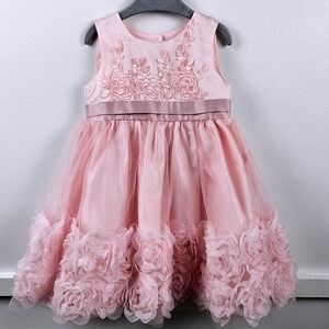 Blueberi Boulevard Pink Floral Embroidered Tulle Rosette Party Dress 24M